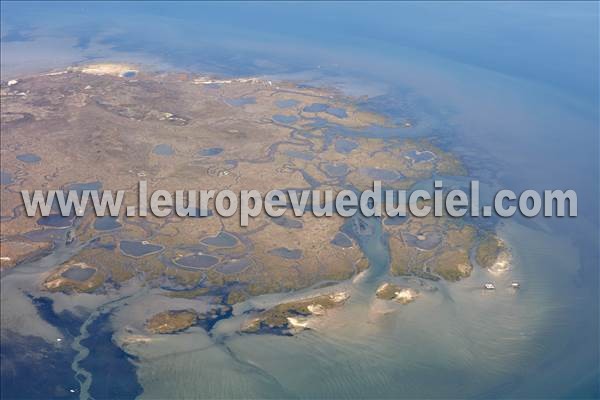 Photo aérienne de La Teste-de-Buch