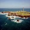 Photos aériennes de "avec" - Photo réf. 042766 - Avec ses 82,5 mtres de hauteur, le Phare de l'Ile Vierge est le plus haut phare d'Europe et le plus haut phare du monde en pierre de taille.