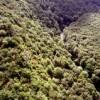 Photos aériennes de "forêt" - Photo réf. 719836