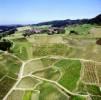 Photos aériennes de "vigne" - Photo réf. 14690