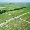 Photos aériennes de Romanèche-Thorins (71570) - Des Vendanges | Saône-et-Loire, Bourgogne-Franche-Comté, France - Photo réf. 20535