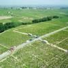 Photos aériennes de Romanèche-Thorins (71570) | Saône-et-Loire, Bourgogne, France - Photo réf. 20535