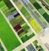 Photos aériennes de "horticulture" - Photo réf. 20695 - Une pépinière en Saône-et-Loire (Saône-et-Loire).