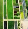 Photos aériennes de "horticulture" - Photo réf. 20696