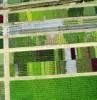 Photos aériennes de "horticulture" - Photo réf. 20697