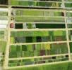 Photos aériennes de "horticulture" - Photo réf. 20698
