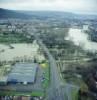 Photos aériennes de "vent" - Photo réf. AER1977_24688 - Les peupliers couchs dans l'eau tant  cause du vent de la tempte du 26-12-1999 que par les inondations.