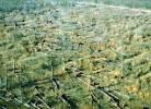 Photos aériennes de "lieux" - Photo réf. AER1993_4 - Etat des lieux après la tempête du 26/12/99 en Lorraine