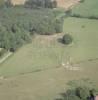 Photos aériennes de Abergement-le-Grand (39600) - Autre vue | Jura, Franche-Comté, France - Photo réf. 37386 - Un troupeau dans un champ au abords du village.