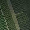 Photos aériennes de "vignes" - Photo réf. 41874 - Vue verticale sur des vignes.