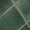 Photos aériennes de "vignes" - Photo réf. 41875 - Vue verticale sur des vignes.