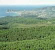 Photos aériennes de La Ciotat (13600) - Autre vue | Bouches-du-Rhône, Provence-Alpes-Côte d'Azur, France - Photo réf. 42317 - La garrigue.