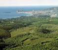 Photos aériennes de La Ciotat (13600) | Bouches-du-Rhône, Provence-Alpes-Côte d'Azur, France - Photo réf. 42318 - Au loin, le Cap de l'Aigle et l'le verte