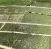 Photos aériennes de Chablis (89800) - Le Vignoble | Yonne, Bourgogne-Franche-Comté, France - Photo réf. 43114 - Vue d'ensemble de vignes dans la rgion de Chablis.
