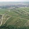  - Photo réf. 43116 - Vue d'ensemble de vignes dans la rgion de Chablis.