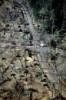 Photos aériennes de "forêt" - Photo réf. AER1983_35 - Etat des lieux après la tempête du 26/12/99