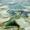 Photos aériennes de "atlantique" - Photo réf. 61172 - Les marais salants de Guérande (Loire-Atlantique).