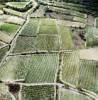 Photos aériennes de Pézenas (34120) - Les Vignes | Hérault, Occitanie, France - Photo réf. 61612