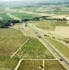 Photos aériennes de Pézenas (34120) - Les Vignes | Hérault, Occitanie, France - Photo réf. 61613
