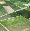 Photos aériennes de Pézenas (34120) - Les Vignes | Hérault, Occitanie, France - Photo réf. 61615