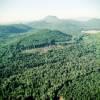Photos aériennes de "paysage" - Photo réf. 61673 - Paysage volcanique des massifs d'Auvergne.