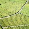 Photos aériennes de Katzenthal (68230) - Le Vignoble | Haut-Rhin, Alsace, France - Photo réf. 61733
