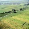 Photos aériennes de "vignes" - Photo réf. 61812