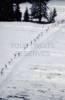 Photos aériennes de "neige" - Photo réf. 62046_22 - Les skieurs sur la piste.