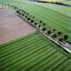 Photos aériennes de "route" - Photo réf. 62473 - Route bordée d'arbres au milieu des champs.