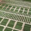 Photos aériennes de Angerville-Bailleul (76110) - Des Parcelles d'Essais de Cultures | Seine-Maritime, Normandie, France - Photo réf. 62499