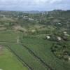 Photos aériennes de Indéterminée (Martinique) (972) - Les Cultures | Martinique, Martinique, France - Photo réf. N006049