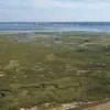 Photos aériennes de Arcachon (33120) - L'Ile aux Oiseaux | Gironde, Aquitaine, France - Photo réf. N019486