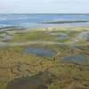 Photos aériennes de Arcachon (33120) - L'Ile aux Oiseaux | Gironde, Aquitaine, France - Photo réf. N019488