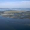 Photos aériennes de Arcachon (33120) - L'Ile aux Oiseaux | Gironde, Aquitaine, France - Photo réf. N019496