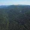 Photos aériennes de "forêt" - Photo réf. N020175