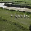 Photos aériennes - Paysages du littoral - Photo réf. N020224 - Des chevaux lancés à plein galop dans la vallée de la Seine (Seine-Maritime).