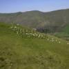 Photos aériennes de Indéterminée (Pyrénées-Atlantiques) (64) | Pyrénées-Atlantiques, Nouvelle-Aquitaine, France - Photo réf. N021158