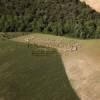 Photos aériennes de Valensole (04210) - Un Troupeau de Moutons | Alpes de Hautes-Provence, Provence-Alpes-Côte d'Azur, France - Photo réf. N028716