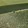 Photos aériennes de "vignes" - Photo réf. N029099 - Vignes vers Sancerre