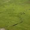 Photos aériennes de "Michel," - Photo réf. N029241 - La Baie du Mont-Saint-Michel et ces Moutons
