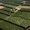 Photos aériennes de Bellegarde (30127) - Des Cultures Maraichères | Gard, Occitanie, France - Photo réf. N029280