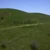 Photos aériennes de Lantabat (64640) - Des Vaches | Pyrénées-Atlantiques, Nouvelle-Aquitaine, France - Photo réf. N029389