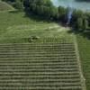 Photos aériennes de "vigne" - Photo réf. N029400
