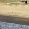 Photos aériennes de Moliets-et-Maa (40660) - La Plage | Landes, Nouvelle-Aquitaine, France - Photo réf. N029453