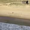 Photos aériennes de Moliets-et-Maa (40660) - La Plage | Landes, Aquitaine, France - Photo réf. N029453