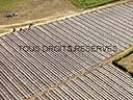 Photos aériennes de "dordogne" - Photo réf. T031963 - Des cultures maraichères à Cendrieux (Dordogne).