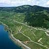 Photos aériennes de "léman" - Photo réf. N046205 - Le vignoble Suisse au bord du lac Léman, à Puidoux.