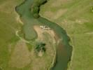 Photos aériennes de "vaches" - Photo réf. T082296 - Des Vaches en bord de La Loire.