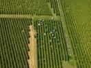 Photos aériennes de "vigne" - Photo réf. T082386