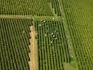 Photos aériennes de Beaune (21200) - Les Vendanges des Côtes de Beaune | Côte-d'Or, Bourgogne, France - Photo réf. T082386